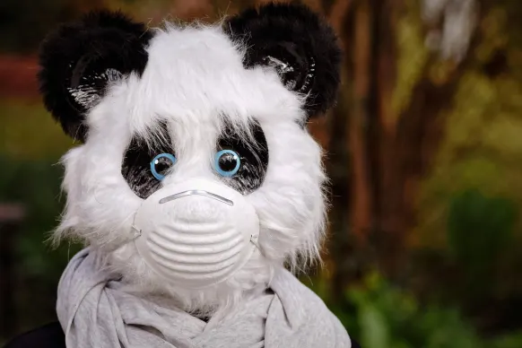 ΜπιτΡιλς Καζίνο Υποστηριξη